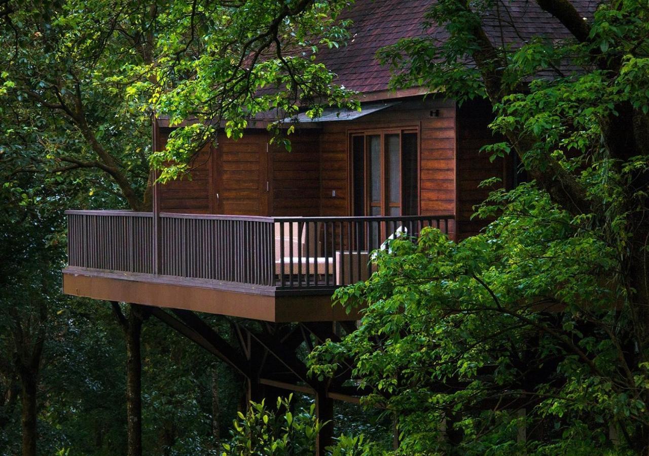 The Tamara Coorg Hotel Kakkabe Exterior photo